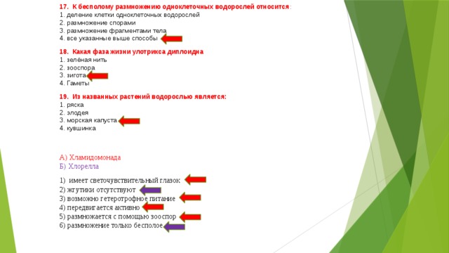 17. К бесполому размножению одноклеточных водорослей относится : 1. деление клетки одноклеточных водорослей 2. размножение спорами 3. размножение фрагментами тела 4. все указанные выше способы 18. Какая фаза жизни улотрикса диплоидна 1. зелёная нить 2. зооспора 3. зигота 4. Гаметы 19. Из названных растений водорослью является: 1. ряска 2. элодея 3. морская капуста 4. кувшинка А) Хламидомонада Б) Хлорелла 1) имеет светочувствительный глазок 2) жгутики отсутствуют 3) возможно гетеротрофное питание 4) передвигается активно 5) размножается с помощью зооспор 6) размножение только бесполое 