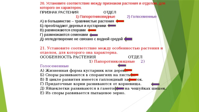 20. Установите соответствие между признаком растения и отделом, для которого он характерен. ПРИЗНАК РАСТЕНИЯ ОТДЕЛ  1) Папоротниковидные 2) Голосеменные А) в большинстве – травянистые растения Б) преобладают деревья и кустарники В) размножаются спорами Г) размножаются семенами Д) оплодотворение не связано с водной средой 21. Установите соответствие между особенностью растения и отделом, для которого она характерна. ОСОБЕННОСТЬ РАСТЕНИЯ ОТДЕЛ  1 ) Папоротниковидные 2) Голосеменные А) Жизненная форма кустарник или дерево. Б) Споры развиваются в спорангиях на листьях. В) В цикле развития имеется гаплоидный заросток. Г) Придаточные корни развиваются от корневища. Д) Яйцеклетки развиваются в гаметофите на чешуйках шишек. Е) Из споры развивается пыльцевое зерно. 