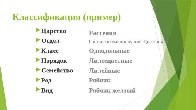 Классификация (пример) Царство Отдел Класс Порядок Семейство Род Вид Растения  Покрытосеменные, или Цветковые Однодольные Лилеецветные Лилейные Рябчик Рябчик желтый 