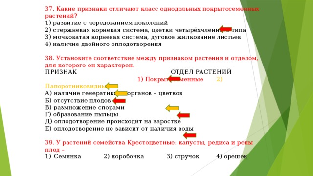 37. Какие признаки отличают класс однодольных покрытосеменных растений? 1) развитие с чередованием поколений 2) стержневая корневая система, цветки четырёхчленного типа 3) мочковатая корневая система, дуговое жилкование листьев 4) наличие двойного оплодотворения 38. Установите соответствие между признаком растения и отделом, для которого он характерен. ПРИЗНАК ОТДЕЛ РАСТЕНИЙ  1) Покрытосеменные 2) Папоротниковидные А) наличие генеративных органов – цветков Б) отсутствие плодов В) размножение спорами Г) образование пыльцы Д) оплодотворение происходит на заростке Е) оплодотворение не зависит от наличия воды 39. У растений семейства Крестоцветные: капусты, редиса и репы плод – Семянка 2) коробочка 3) стручок 4) орешек 