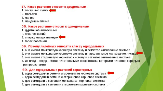 57. Какое растение относят к двудольным 1. пастушью сумку 2. тюльпан 3. лилию 4. ландыш майский 58 . Какое растение относят к однодольным 1. дурман обыкновенный 2. василек синий 3. спаржу лекарственную 4. горох посевной 59 . Почему лилейных относят к классу однодольных 1. они имеют мочковатую корневую систему и сетчатое жилкование листьев 2. они имеют мочковатую корневую систему и параллельное жилкование листьев 3. они имеют стержневую корневую систему и сетчатое жилкование листьев 4. их плод – ягода – богат питательными веществами, которыми питается зародыш при прорастании  60 . Для однодольных растений характерны: 1. одна семядоля в семени и мочковатая корневая система 2. одна семядоля в семени и стержневая корневая система 3. две семядоли в семени и мочковатая корневая система 4. две семядоли в семени и стержневая корневая система 