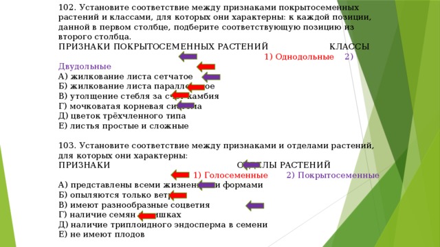 102. Установите соответствие между признаками покрытосеменных растений и классами, для которых они характерны: к каждой позиции, данной в первом столбце, подберите соответствующую позицию из второго столбца. ПРИЗНАКИ ПОКРЫТОСЕМЕННЫХ РАСТЕНИЙ КЛАССЫ  1) Однодольные 2) Двудольные А) жилкование листа сетчатое Б) жилкование листа параллельное В) утолщение стебля за счёт камбия Г) мочковатая корневая система Д) цветок трёхчленного типа Е) листья простые и сложные 103. Установите соответствие между признаками и отделами растений, для которых они характерны: ПРИЗНАКИ ОТДЕЛЫ РАСТЕНИЙ  1) Голосеменные 2) Покрытосеменные А) представлены всеми жизненными формами Б) опыляются только ветром В) имеют разнообразные соцветия Г) наличие семян в шишках Д) наличие триплоидного эндосперма в семени Е) не имеют плодов 