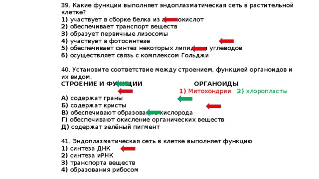 Соответствие между органоидами клетки и функциями