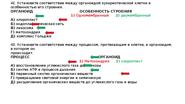 Установите соответствие между характеристиками и органоидами клетки обозначенными цифрами на схеме