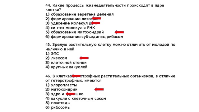 Процессы жизнедеятельности протекают в клетках. Процессы жизнедеятельности происходящие в ядре клетки. Какие процессы происходят в ядре клетки образование веретена деления. Процессы я Вядре коетки. Какие процессы жизнедеятельности протекают в ядре клетки.