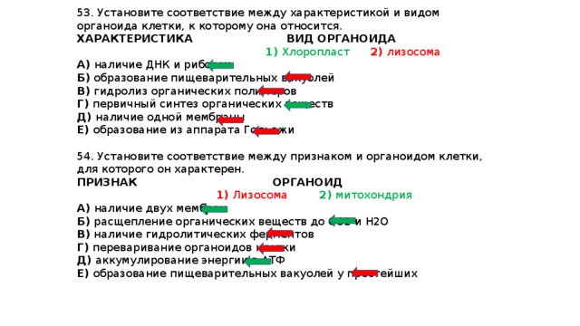 Установите соответствие между характеристиками и типами