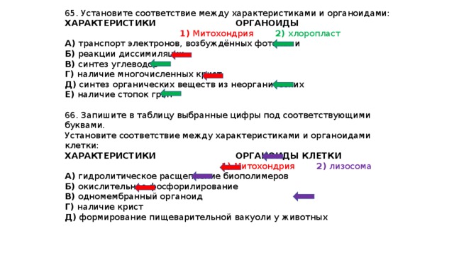 Установите соответствие между функциями и органоидами клетки. Установите соответствие между характеристикой и органоидом. Установите соответствие характеристики и органоида клетки. Установите соответствие между особенностями строения хлоропласт. Установите соответствие между характеристиками и органоидами клетки.