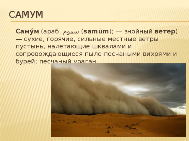 В течение всего года дуют сильные ветры. Самум Песчаная буря. Хамсин и Самум. Самум презентация. Самум песчаный ураган.