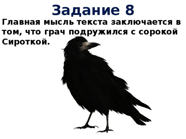 Пришвин говорящий грач. Пришвин Грач. Чаплина Грач. Грач в троллейбусе. Сорока которая крякала.