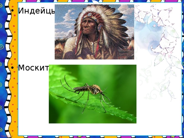 Индейцы- Москит-