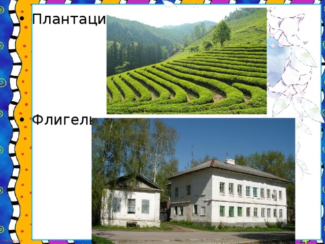 Плантации- Флигель-
