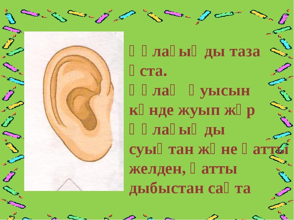 Дене мүшелері