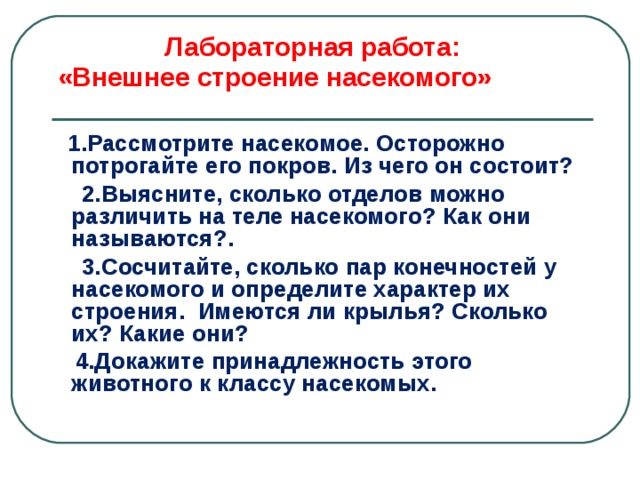 Лабораторная работа строение насекомых. Лабораторная работа внешнее строение насекомого. Лабораторная работа класс насекомых. Лабораторная работа изучение внешнего строения насекомых.