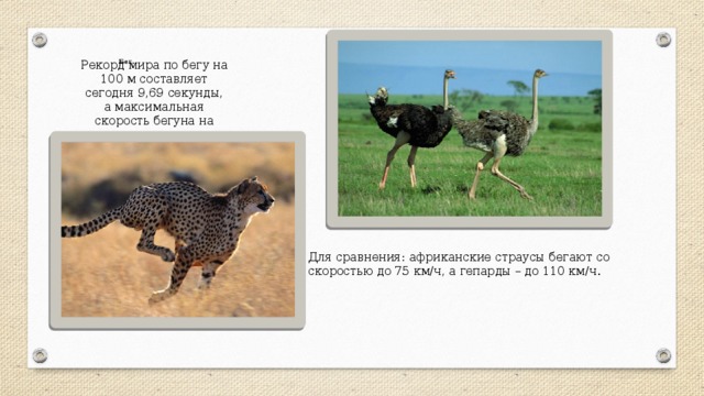 Скорость лося км ч