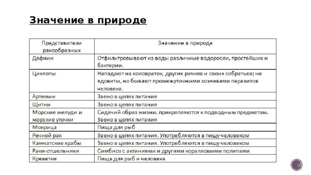 Значение в природе таблица. Значение ракообразных в природе. Значение ракообразных в природе и жизни человека. Значение ракообразных в природе таблица. Представители и значение ракообразных.