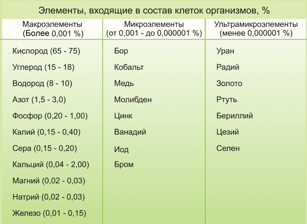 Химический состав клетки