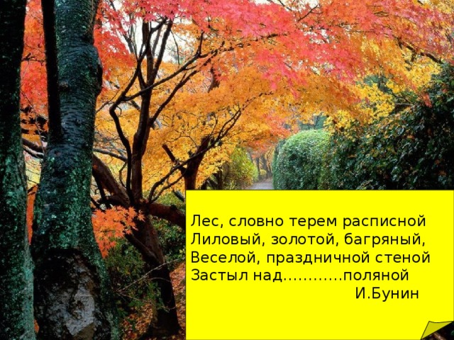 Лес, словно терем расписной Лиловый, золотой, багряный, Веселой, праздничной стеной Застыл над…………поляной  И.Бунин  