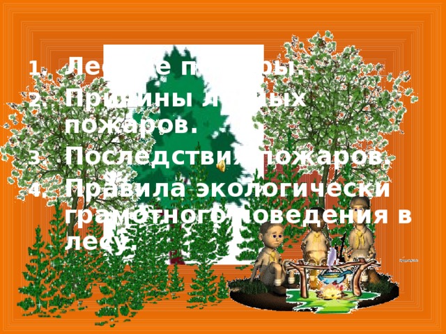 Лесные пожары. Причины лесных пожаров. Последствия пожаров. Правила экологически грамотного поведения в лесу. 