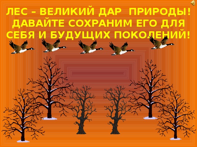 ЛЕС – ВЕЛИКИЙ ДАР ПРИРОДЫ!  ДАВАЙТЕ СОХРАНИМ ЕГО ДЛЯ СЕБЯ И БУДУЩИХ ПОКОЛЕНИЙ! 