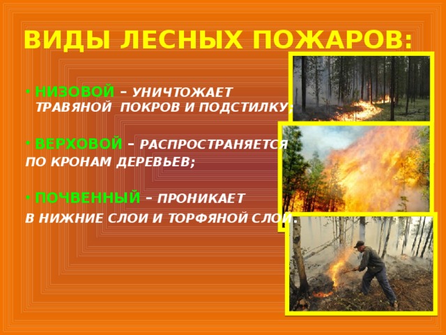 ВИДЫ ЛЕСНЫХ ПОЖАРОВ: НИЗОВОЙ  – УНИЧТОЖАЕТ ТРАВЯНОЙ ПОКРОВ И ПОДСТИЛКУ;  ВЕРХОВОЙ – РАСПРОСТРАНЯЕТСЯ ПО КРОНАМ ДЕРЕВЬЕВ;  ПОЧВЕННЫЙ  – ПРОНИКАЕТ В НИЖНИЕ СЛОИ И ТОРФЯНОЙ СЛОЙ . 