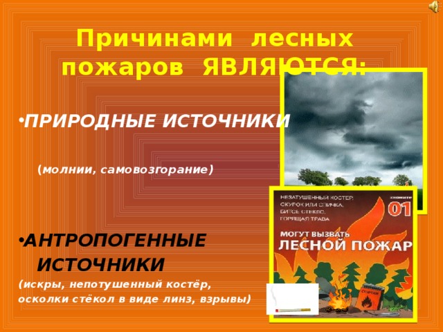 Причинами лесных пожаров ЯВЛЯЮТСЯ: ПРИРОДНЫЕ ИСТОЧНИКИ    ( молнии, самовозгорание)    АНТРОПОГЕННЫЕ  ИСТОЧНИКИ (искры, непотушенный костёр, осколки стёкол в виде линз, взрывы) 