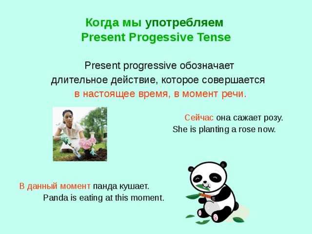 Когда мы употребляем   Present Progessive Tense  Present progressive обозначает   длительное действие, которое совершается  в настоящее время, в момент речи.   Сейчас она сажает розу.  She is planting a rose now.  В данный момент панда кушает.  Panda is eating at this moment.  