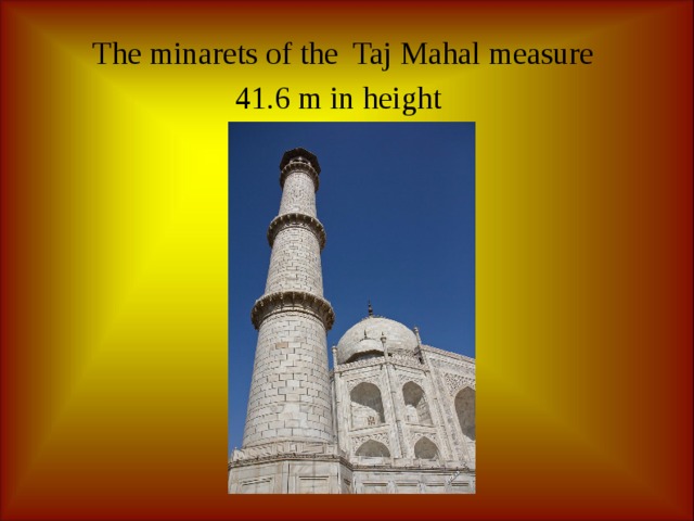   The minarets of the Taj Mahal measure  41.6 m in height       