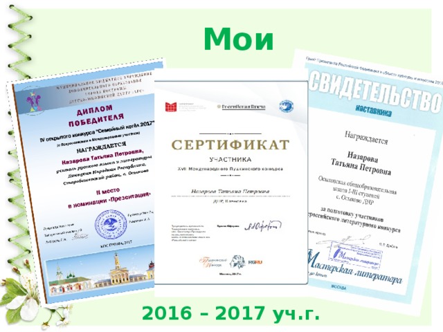 Мои достижения 2016 – 2017 уч.г. 