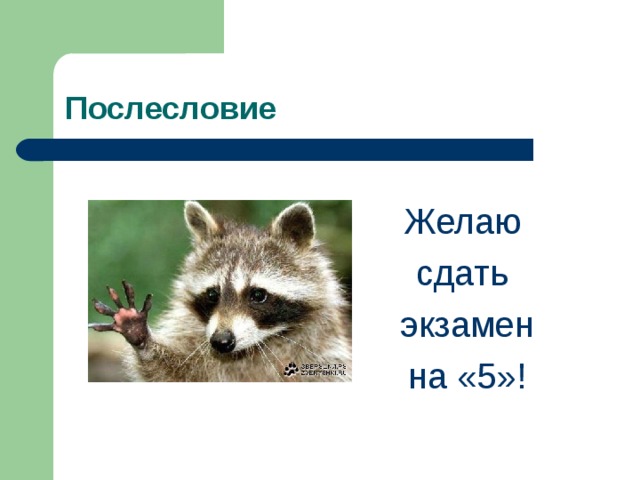 Послесловие Желаю сдать экзамен на «5»! 