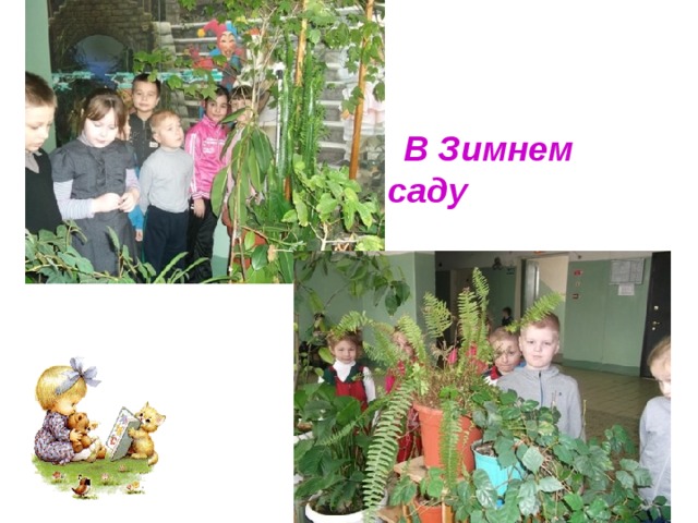  В Зимнем саду 