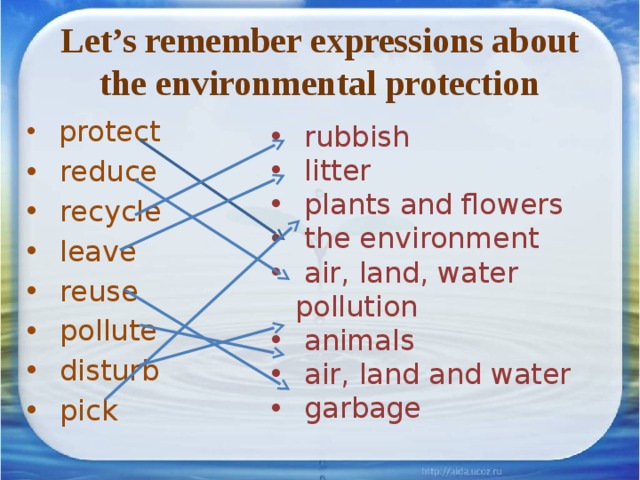 Let’s remember expressions about the environmental protection  protect  reduce  recycle  leave  reuse  pollute  disturb  pick  rubbish  litter  plants and flowers  the environment  air, land, water pollution  animals  air, land and water  garbage 