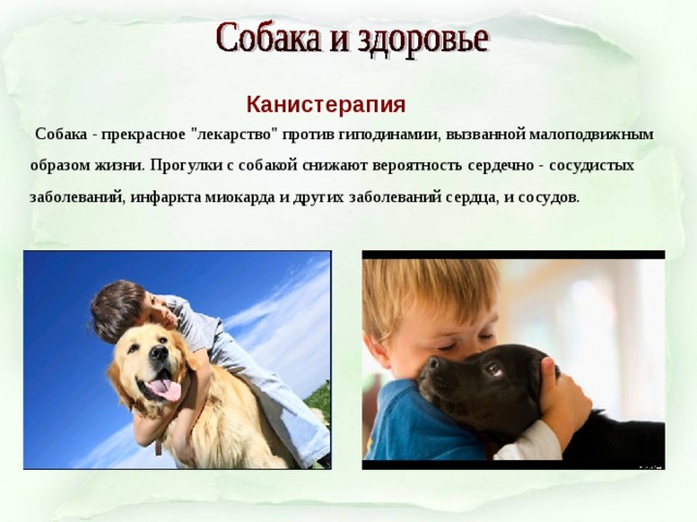 Здоровье собаки. Канистерапия презентация. Канистерапия. Ppt. Канистерапия для детей с ОВЗ презентация. Канистерапия доклад.