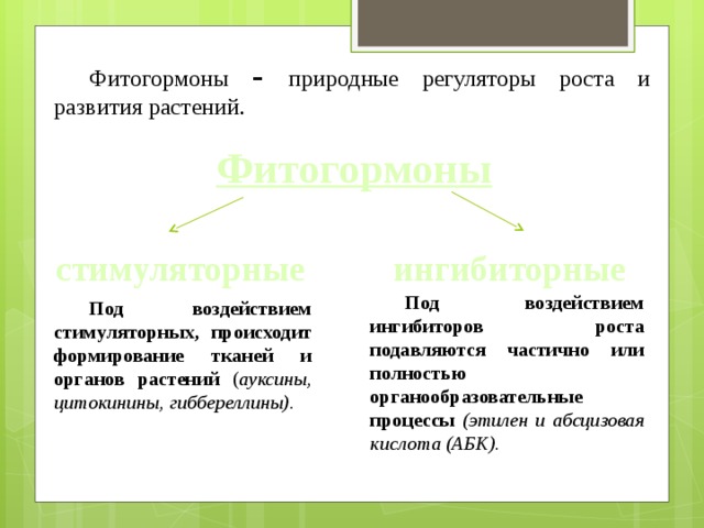 Фитогормоны – природные регуляторы роста и развития растений. Фитогормоны стимуляторные ингибиторные Под воздействием ингибиторов роста подавляются частично или полностью органообразовательные процессы (этилен и абсцизовая кислота (АБК). Под воздействием стимуляторных, происходит формирование тканей и органов растений ( ауксины, цитокинины, гиббереллины).