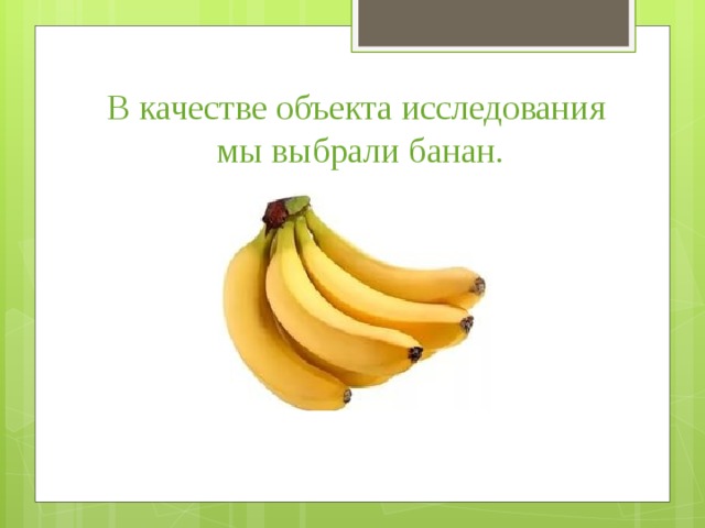 В качестве объекта исследования мы выбрали банан.