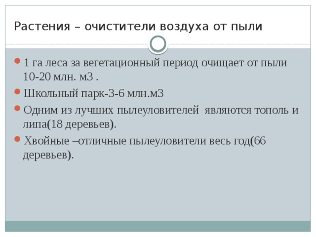 Растения – очистители воздуха от пыли