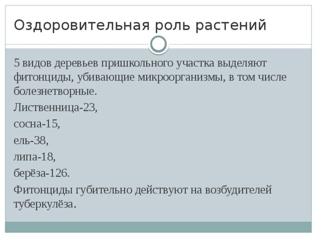 Оздоровительная роль растений 5 видов деревьев пришкольного участка выделяют фитонциды, убивающие микроорганизмы, в том числе болезнетворные. Лиственница-23, сосна-15, ель-38, липа-18, берёза-126. Фитонциды губительно действуют на возбудителей туберкулёза .