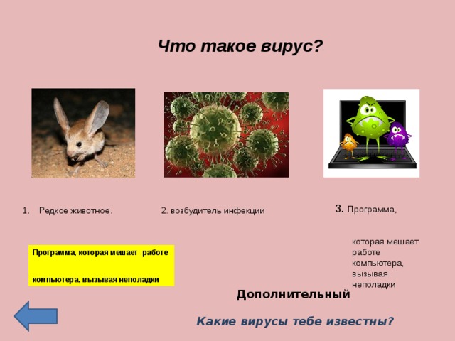 Что такое вирус? 3. Программа, которая мешает работе компьютера, вызывая неполадки Редкое животное. 2. возбудитель инфекции Программа, которая мешает работе компьютера, вызывая неполадки Дополнительный   Какие вирусы тебе известны?  