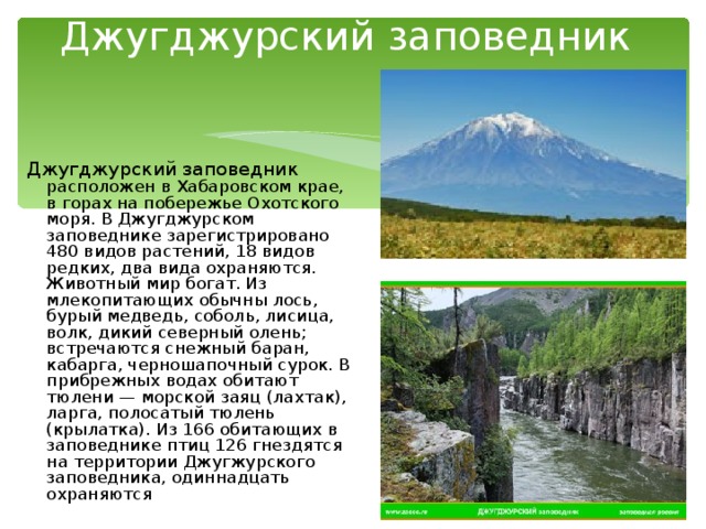 Буреинский заповедник презентация