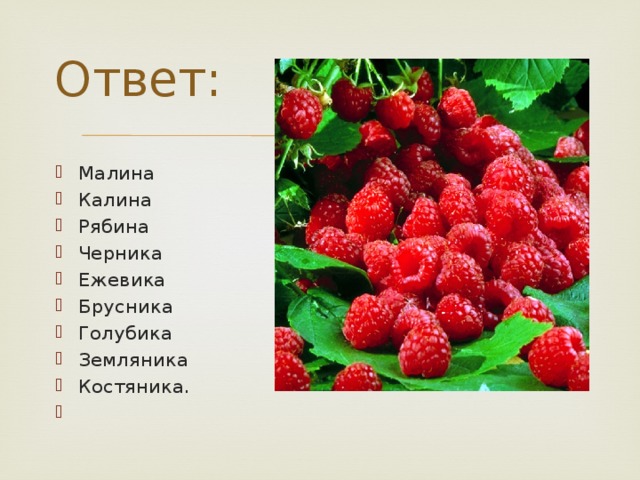 Земляника относится к группе. Малина этимология. Земляника этимология. Этимология слова земляника. Происхождение слова малина.