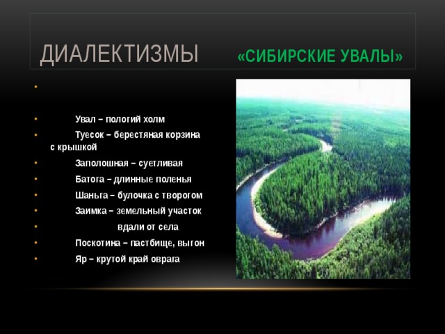 Словарь сибирских диалектизмов в рассказе конь с розовой гривой проект