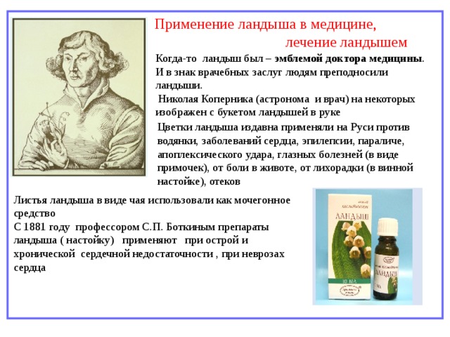 Применение ландыша в медицине,  лечение ландышем Когда-то ландыш был – эмблемой доктора медицины . И в знак врачебных заслуг людям преподносили ландыши.  Николая Коперника (астронома и врач) на некоторых изображен с букетом ландышей в руке Цветки ландыша издавна применяли на Руси против водянки, заболеваний сердца, эпилепсии, параличе, апоплексического удара, глазных болезней (в виде примочек), от боли в животе, от лихорадки (в винной настойке), отеков Листья ландыша в виде чая использовали как мочегонное средство С 1881 году профессором С.П. Боткиным препараты ландыша ( настойку)  применяют при острой и хронической сердечной недостаточности , при неврозах сердца 