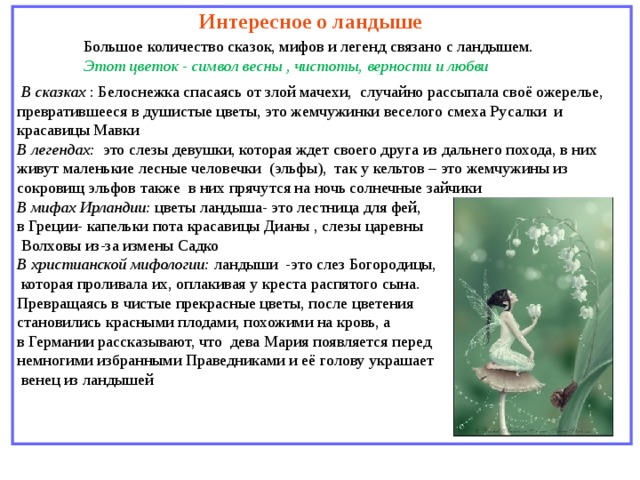 Интересное о ландыше  Большое количество сказок, мифов и легенд связано с ландышем. Этот цветок - символ весны , чистоты, верности и любви  В сказках : Белоснежка спасаясь от злой мачехи, случайно рассыпала своё ожерелье, превратившееся в душистые цветы, это жемчужинки веселого смеха Русалки и красавицы Мавки В легендах: это слезы девушки, которая ждет своего друга из дальнего похода, в них живут маленькие лесные человечки (эльфы), так у кельтов – это жемчужины из сокровищ эльфов также в них прячутся на ночь солнечные зайчики В мифах Ирландии: цветы ландыша- это лестница для фей, в Греции- капельки пота красавицы Дианы , слезы царевны  Волховы из-за измены Садко В христианской мифологии: ландыши -это слез Богородицы,  которая проливала их, оплакивая у креста распятого сына.  Превращаясь в чистые прекрасные цветы, после цветения становились красными плодами, похожими на кровь, а в Германии рассказывают, что дева Мария появляется перед немногими избранными Праведниками и её голову украшает  венец из ландышей 