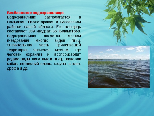 Какие водные объекты находятся в ростовской области. Водные богатства края. Водохранилище презентация. Рассказ о водохранилище. Водохранилище нашего края.