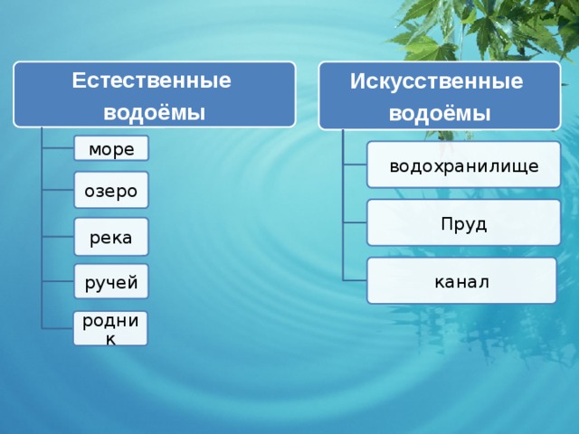 Что относится к водоемам