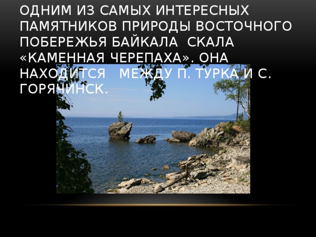 Одним из самых интересных памятников природы восточного побережья Байкала скала «Каменная Черепаха». Она находится между п. Турка и с. Горячинск. 