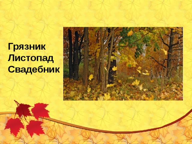 Грязник Листопад Свадебник