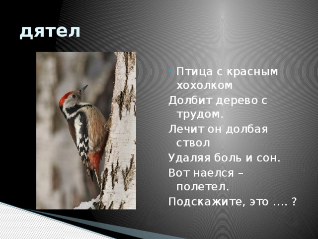 Дятел разбор. Дятел фонетика. Дятел ель долбил долбил. Дятел долбит дерево схема. Дятел фонетич разбор.