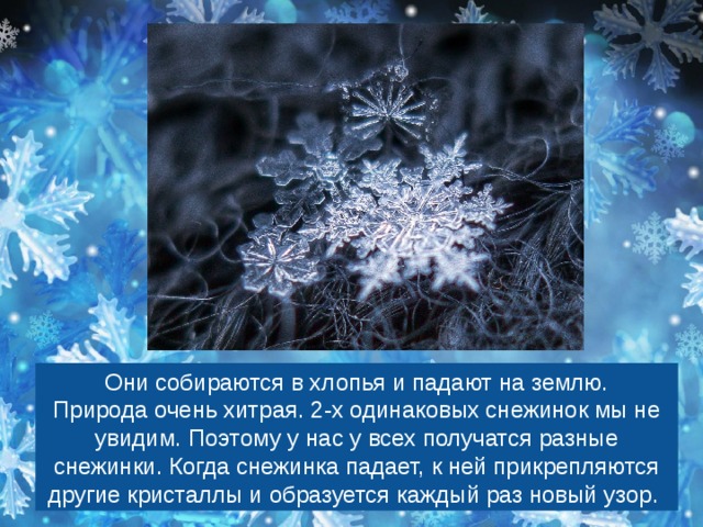 Текст песни падают снежинки. Снежинки падают на землю. Снежинки падали на землю. Стихотворение падают снежинки. Снежинка текст.