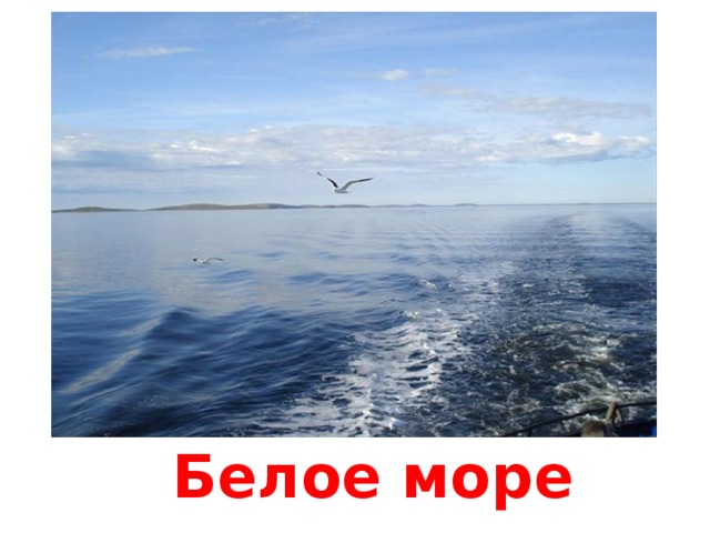 у генки так заведено. Смотреть фото у генки так заведено. Смотреть картинку у генки так заведено. Картинка про у генки так заведено. Фото у генки так заведено