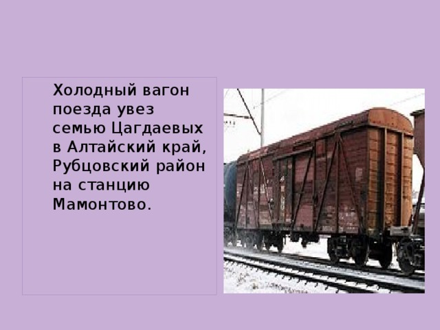   Холодный вагон поезда увез семью Цагдаевых в Алтайский край, Рубцовский район на станцию Мамонтово. 